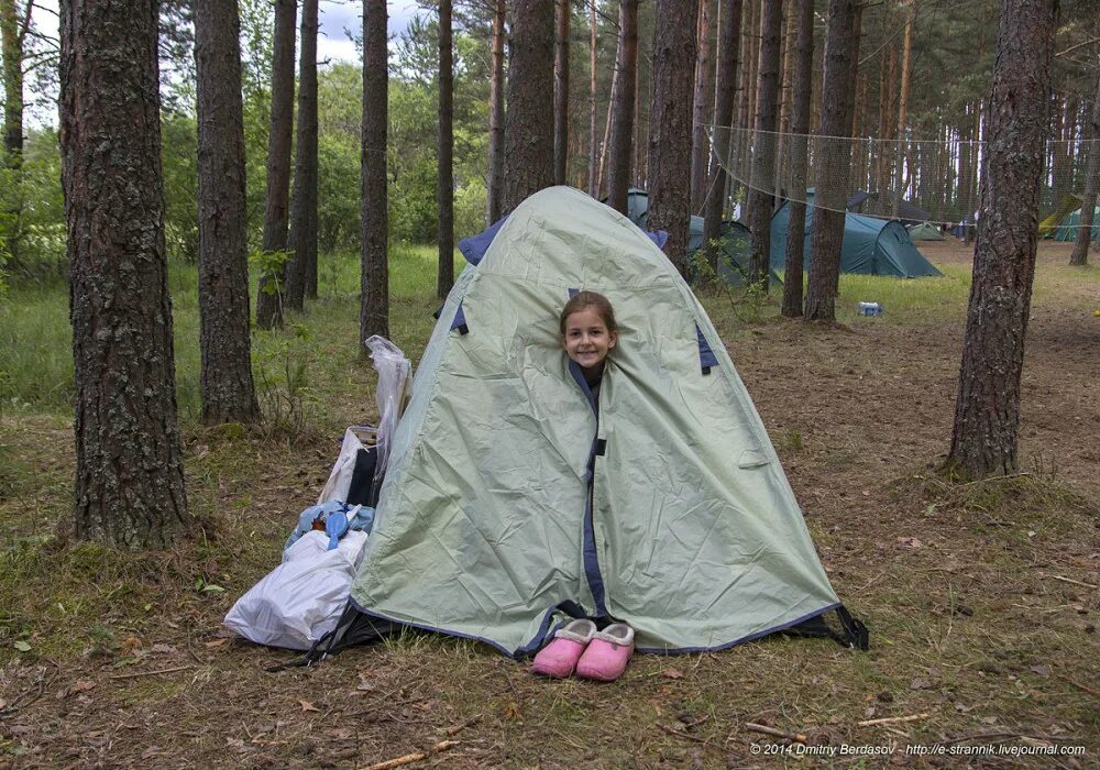 Меню палаточный лагерь. Остров Уходово палаточный лагерь. Селигер три палаточный лагерь. Нарочь кемпинг с палатками. Обустройство палаточного лагеря.
