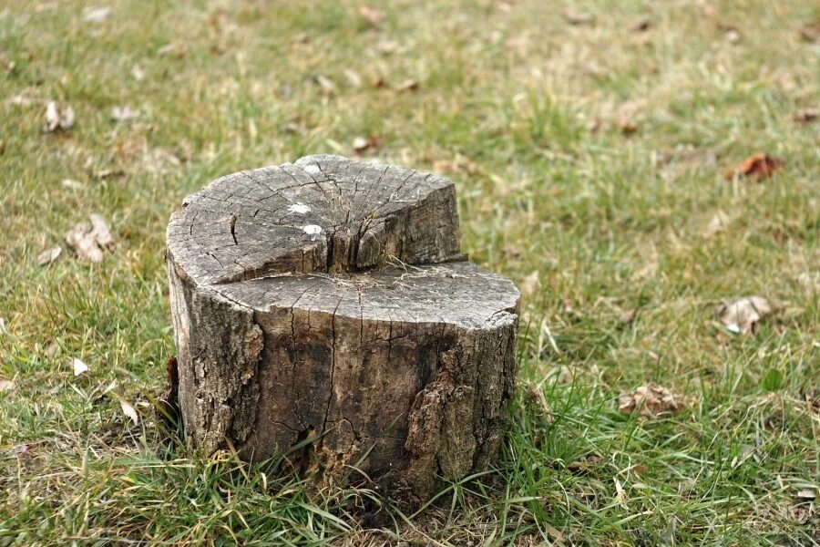 Пеним