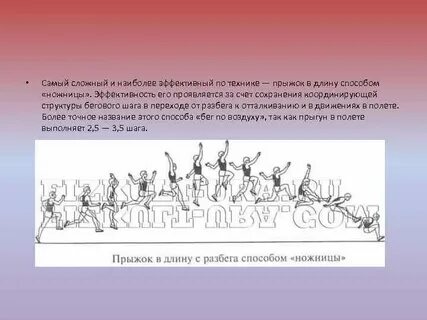 Правильная последовательность выполнения прыжка в длину