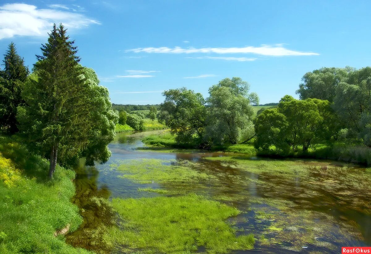 река свородня можайский район. река свородня можайский район. пейзаж река москва можайск. прокудин-горский фотографии можайск. река в можайске.
