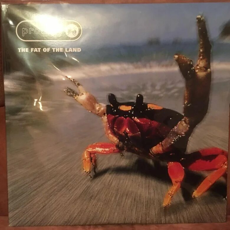 Альбому the fat of the land. Альбому the fat of the land. The prodigy the fat of the land 1997 обложка. The prodigy the fat of the land 1997 обложка. The prodigy the fat of the land 1997.