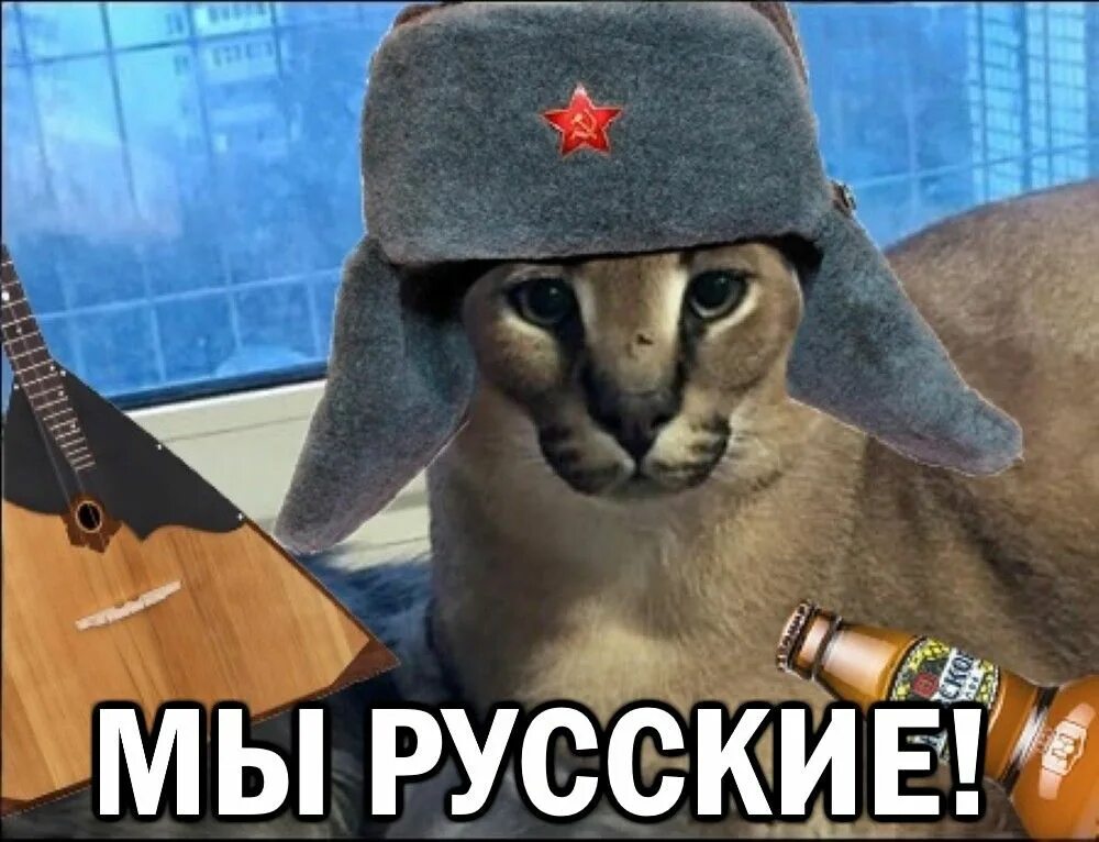 Шлеп магазин. Шлепа русский кот. кот в шапке ушанке. большой русский кот.