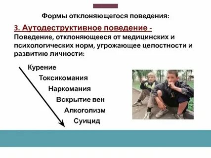 Дикое поведение