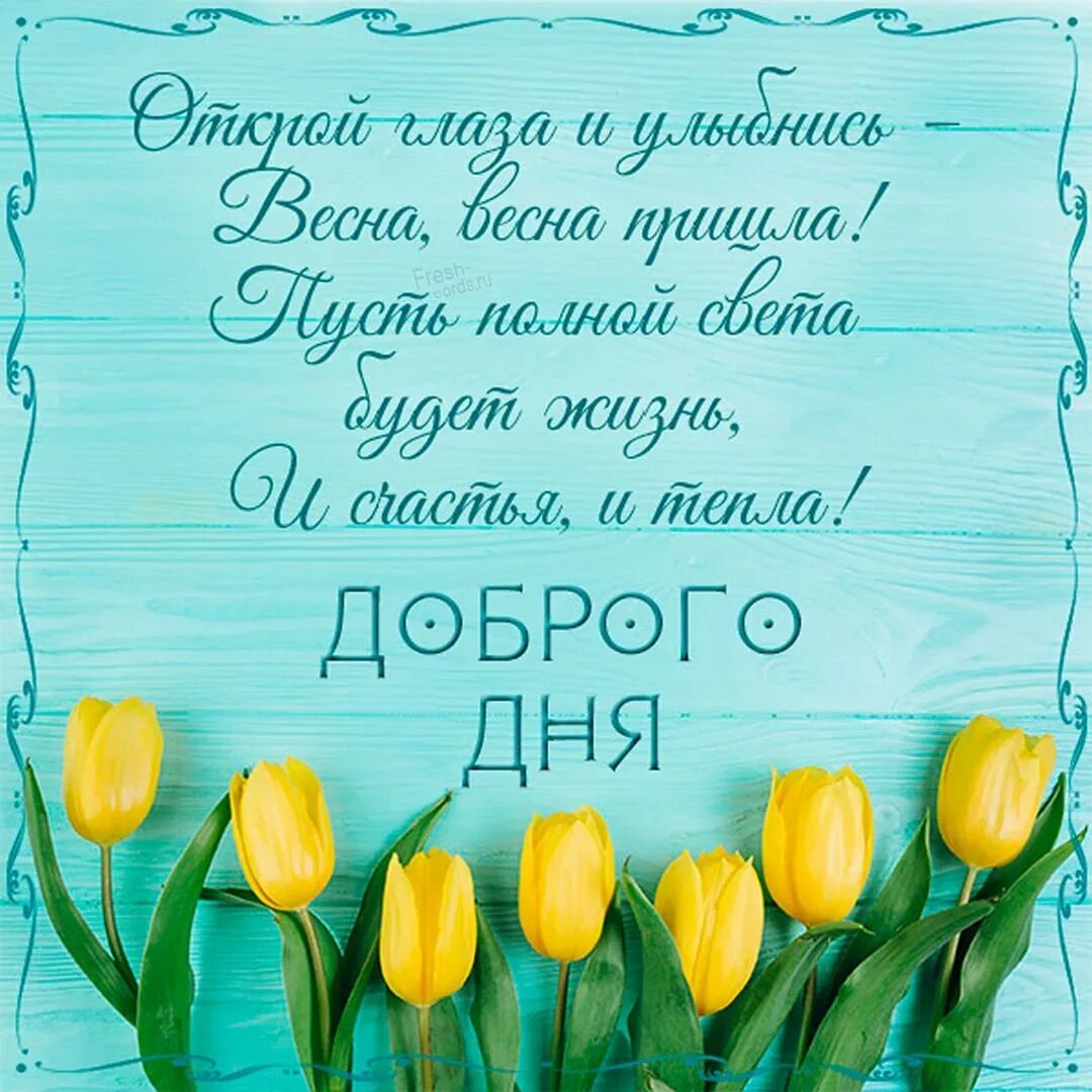 Доброе весеннее утро с девочками. Пожелания с добрым весенним утром. доброе весеннее утро. доброе утро открытки с пожеланиями весенние. весеннее утро с пожеланием.