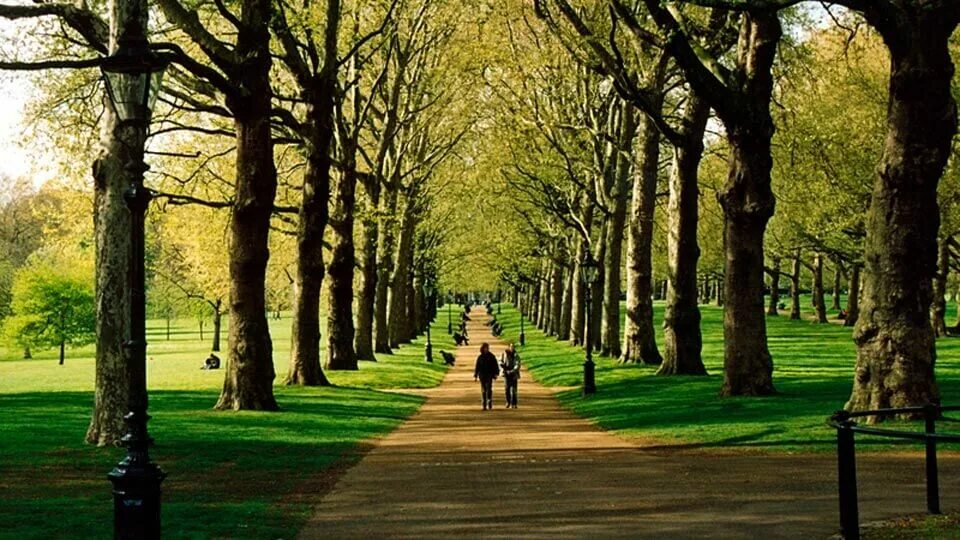 Гайд парк в Лондоне. Парк Лондона Hyde Park. Гайд-парк (Hyde Park). Достопримечательности Лондона Hyde Park. Аллея ньютона