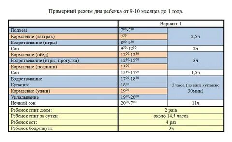 2. Обязательные элементы режима дня ребенка от 6 мес до 2,5 лет.