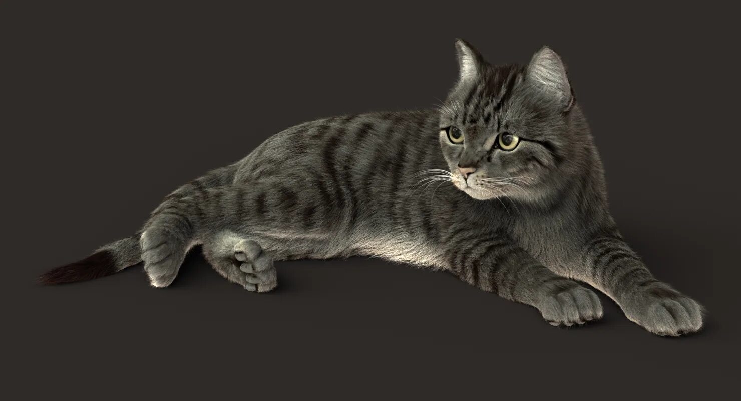 Кошка d. Табби из игры. табби игровой персонаж. black tabby cat. фигурка mojo &quot;кошка табби&quot;.
