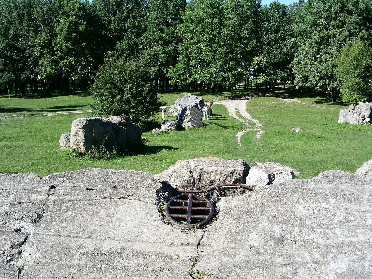 Под винницей. Винница ставка гитлера вервольф. Под винницей. Под винницей. Бункер гитлера в виннице фото.
