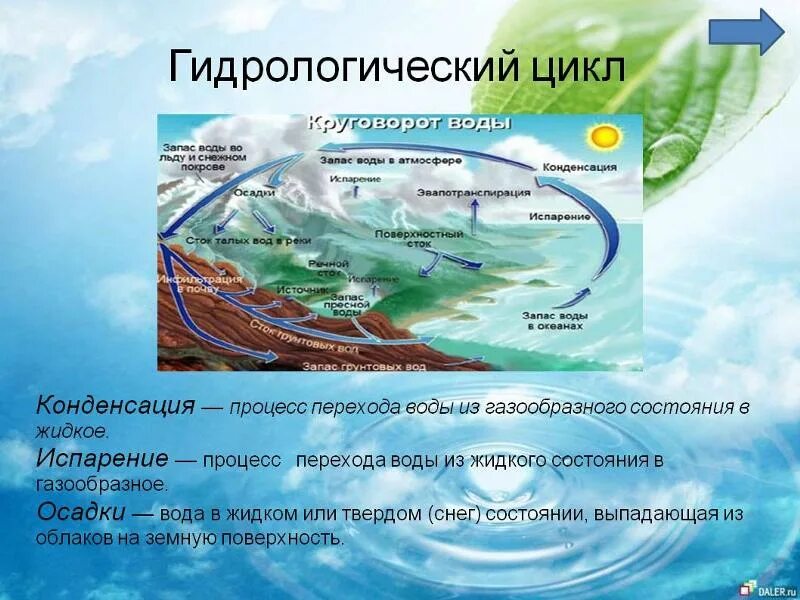 Что происходит без воды. Гидрологический цикл. Процесс круговорота воды. Гидрологический цикл воды. Гидрологический круговорот воды.