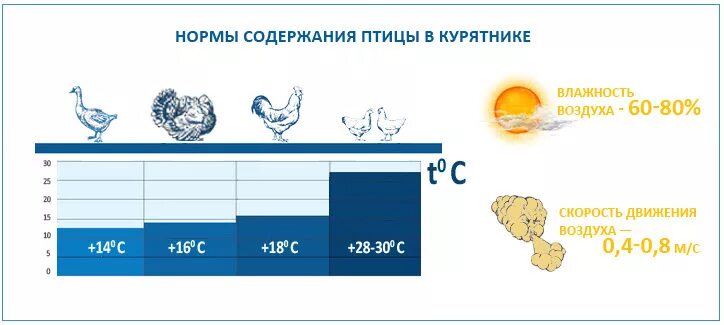 Температура для кур. Влажность в птичнике. влажность в курятнике норма. температура в птичнике. оптимальная влажность в курятнике.