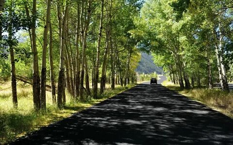 May road