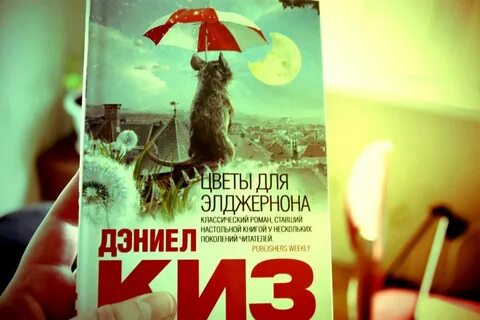 Слушать книги цветы для элджернона