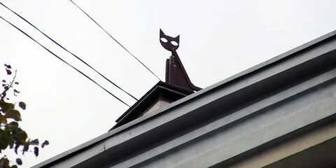 Песня на крышах москвы коты
