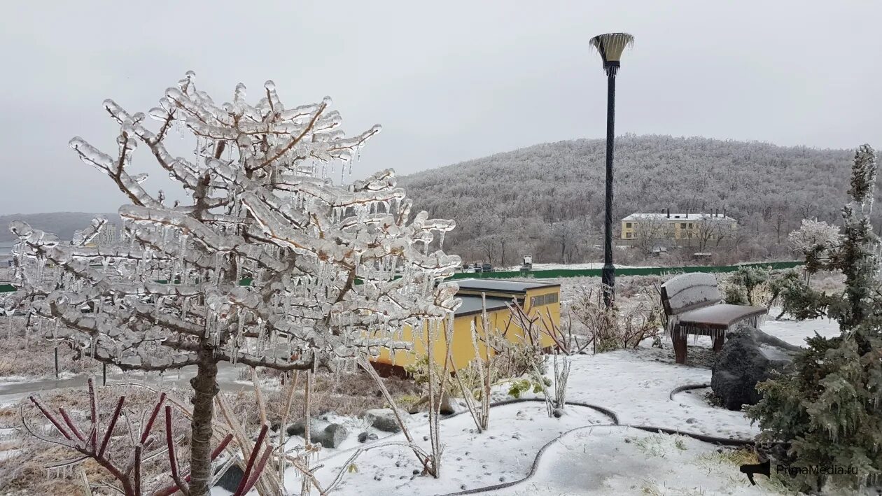 Когда будет ледяной дождь в ноябре. Ледяной дождь во владивостоке 19 ноября. Ледяной дождь в приморье 2020. Ледяной дождь во владивостоке. Ледяной дождь во владивостоке 2021.