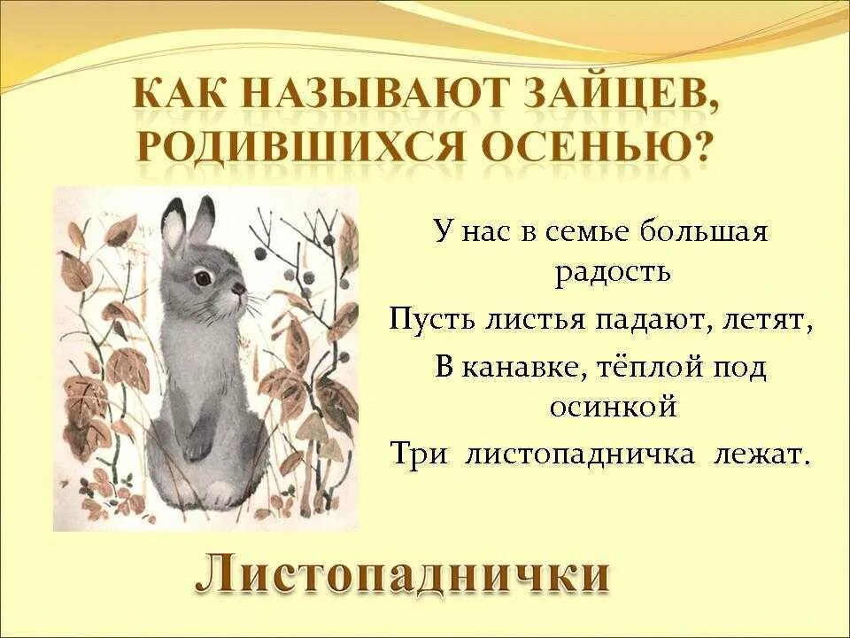 Как можно продолжить рассказ. Листопадничек Соколов-Микитов 3. Листопадничек Соколов-Микитов план 3. Соколов-Микитов, сказка "Листопадничек".