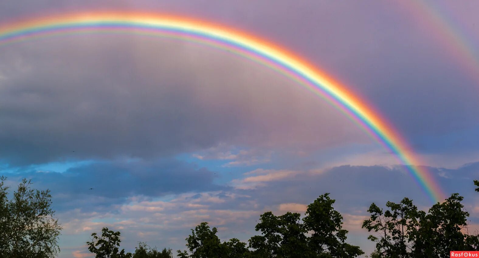 Радуга фото картинки. Новая радужная. Флаг лгбт. Флаг лгбт 2022. Радуга дэш и радужный удар.