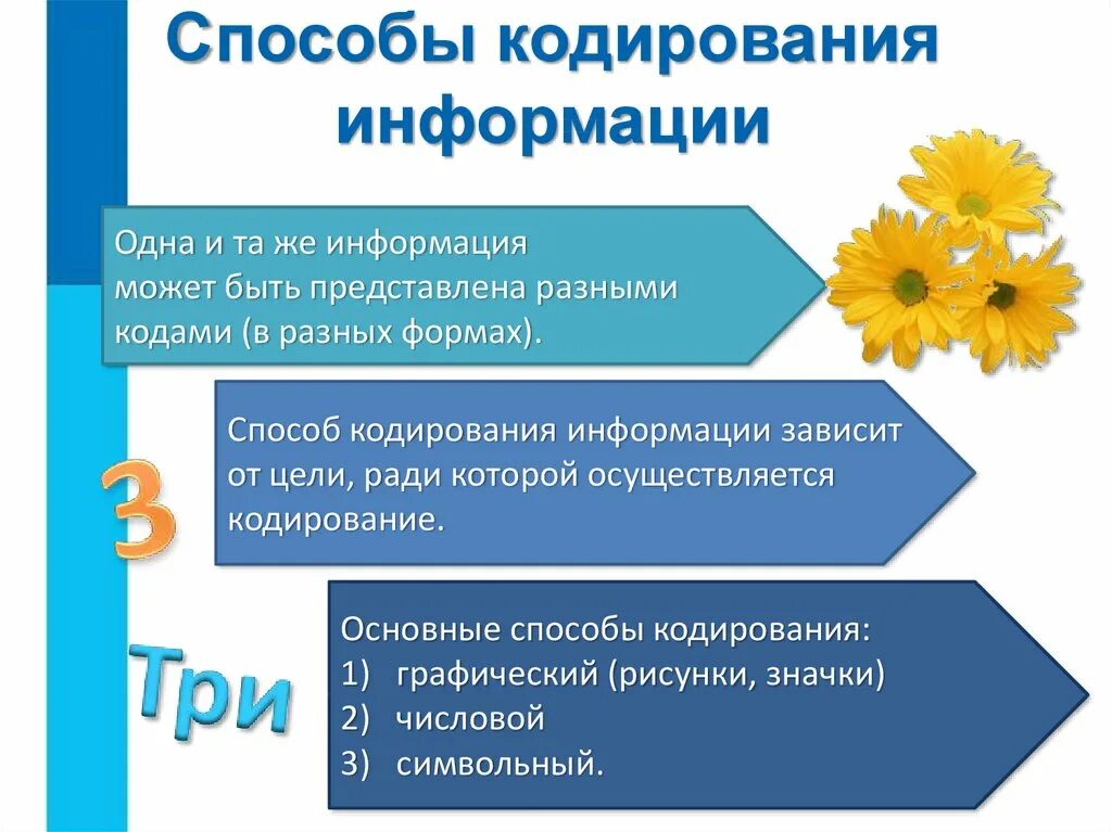 Способы кодирования информации в компьютере. Спо обыкодирования информации. способы кодирования инф. кубирование информации. кодированиеиинформацри.