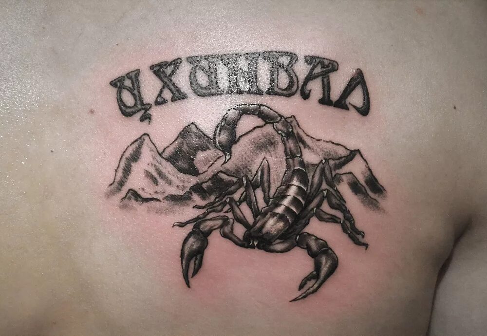 Тату скорпион на груди. Тату скорпион на лопатке. Тату скорпион скво. Пютату скорпион. Тату скорпион на плече.