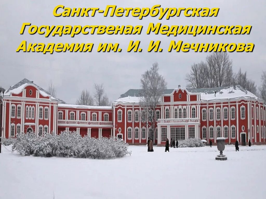 Поступи мечникова