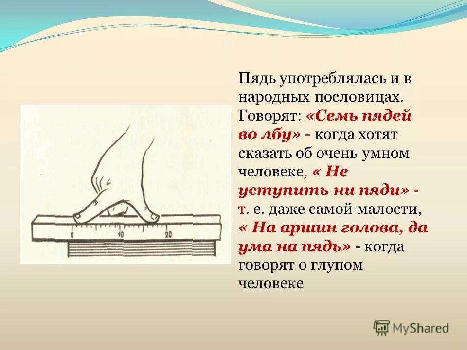 Что такое пядь во лбу. Уступишь на пядь потеряешь сажень. поговорки со словом пядь. пословицы про пядь. семь пядей во лбу.