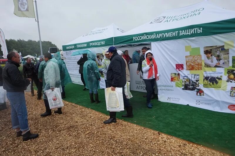 День поля казань. Агрохим щелково казань. Интерактивы для день поля. День поля казань. День поля стенды.