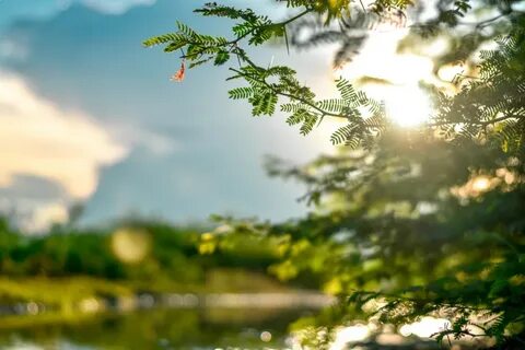 How nature