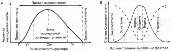 Тест экологические факторы 9 класс. Зоны оптимума угнетения и гибели. Зоны действия экологических факторов. Закономерности действия факторов среды на организмы. Пределы выносливости экология.