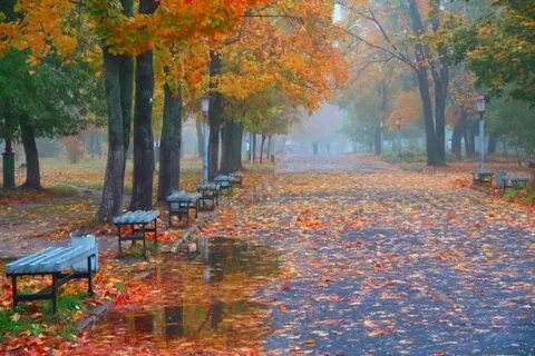 Глава осень