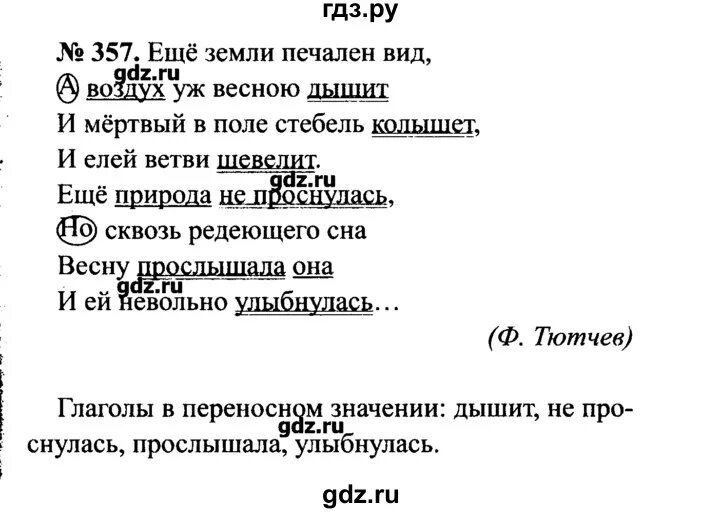 Русский язык 7 класс номер 357. Русский язык 7 класс 357. Русский язык 7 класс упражнение 357. Русский язык 7 класс ладыженская номер 357.