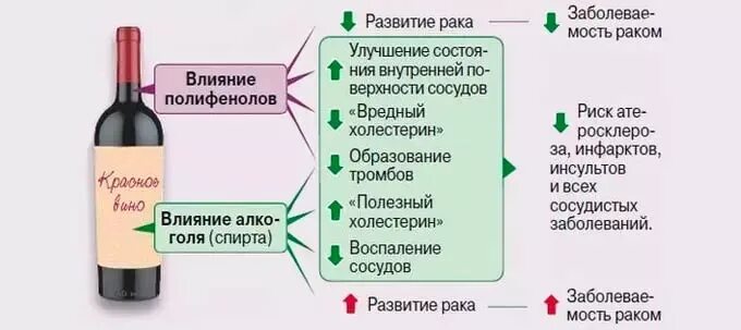 Можно ли при давлении пить вино красное. Вино повышает или понижает давление. Какое вино понижает давление. Повышает ли вино давление. Красное вино повышает или понижает.