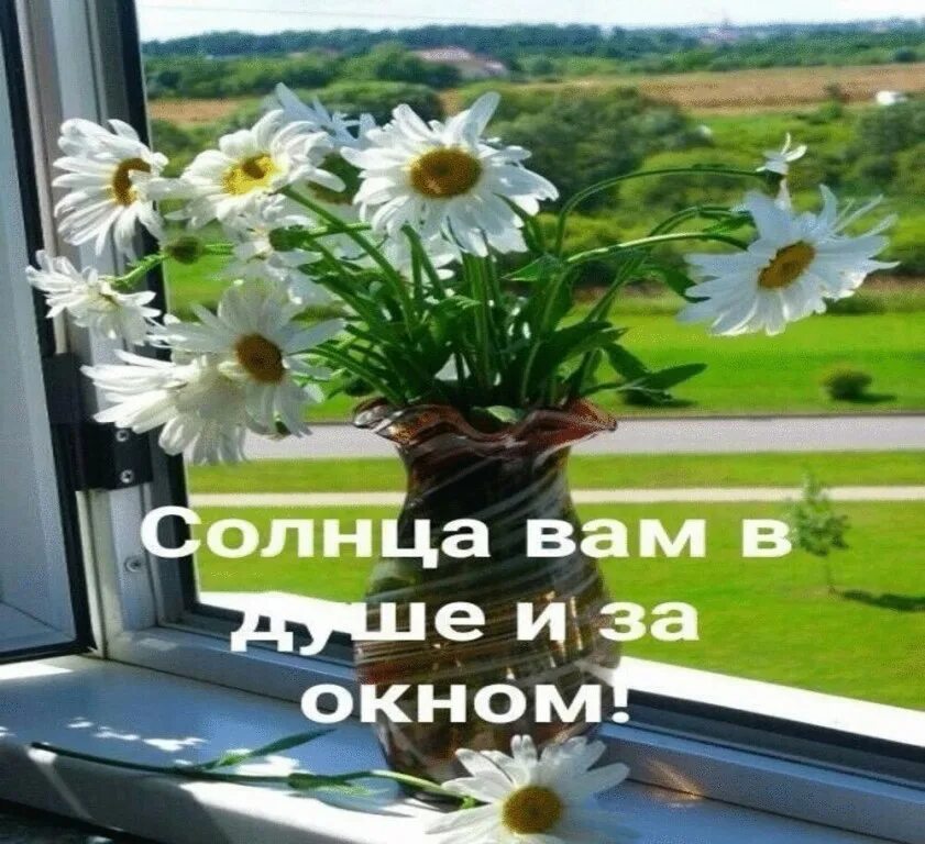 Солнышко в окно впускает мама ласковое утро. Доброго утра солнца вам в окошко. Доброе утро хорошего дня солнышка в душе. Доброе утро солнышко в душе. Утро доброе в окошко.