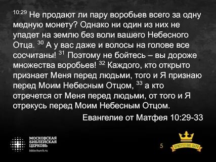 Без ведома без спроса без разбора