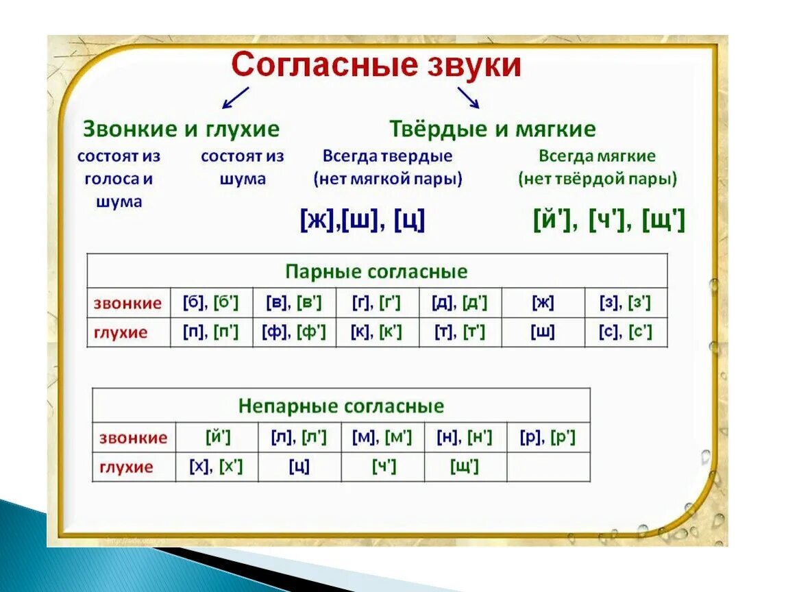 Звуки слова глазки. Таблица гласных согласных звонких глухих твердых мягких. Буквы гласные и согласные Твердые и мягкие звонкие глухие. Таблица звонких и глухих звуков мягких и твёрдых. Парные согласные мягкие и Твердые в русском языке.