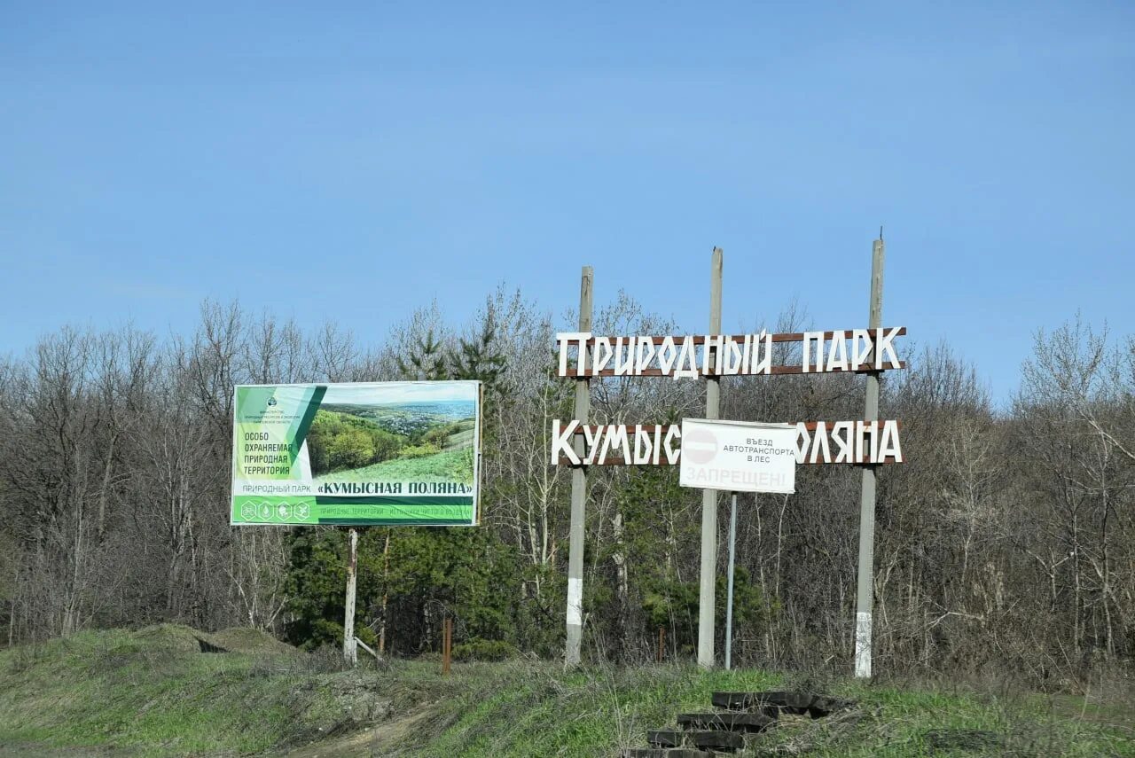 Природный парк Кумысная Поляна. Кумысная Поляна Саратов. Субботник Кумысная Поляна. Лесопарк Кумысная Поляна.