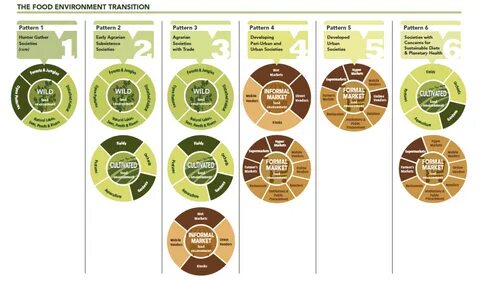 Food environment