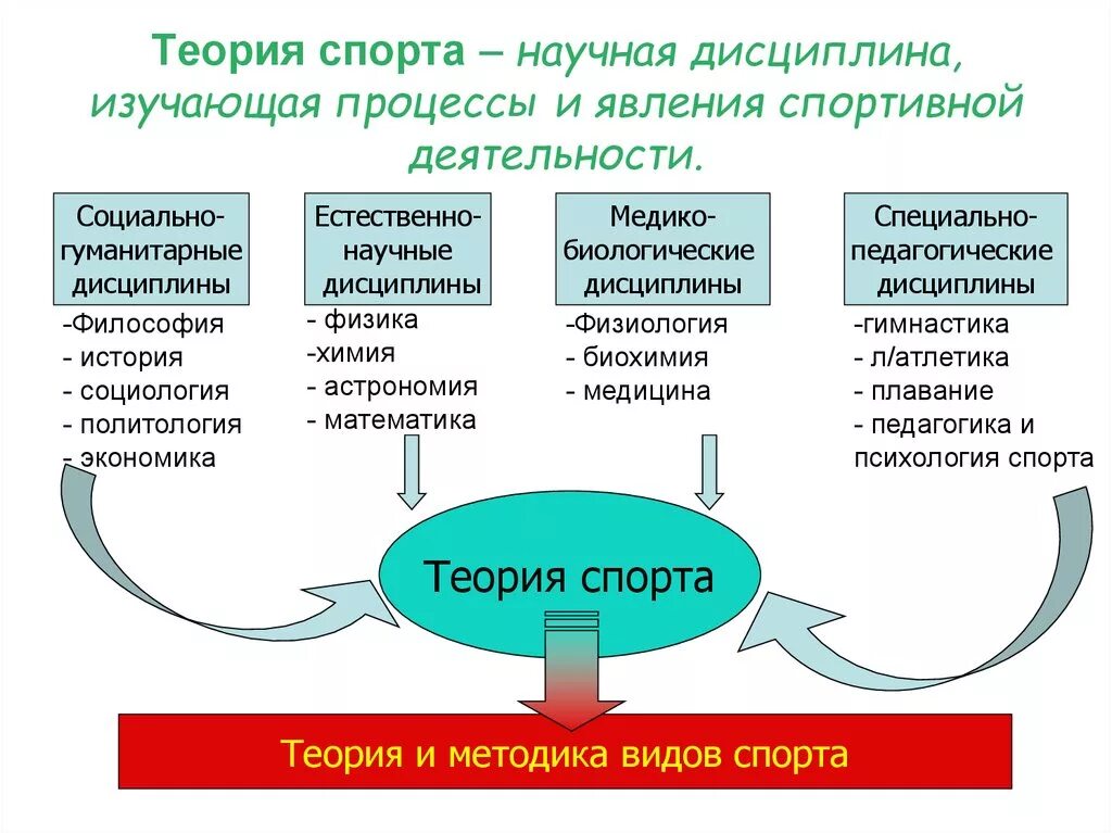 Социально физическая связь. Теория спорта. Теория и методика спорта. Теория и методика спортивной подготовки. Структура теории спорта.