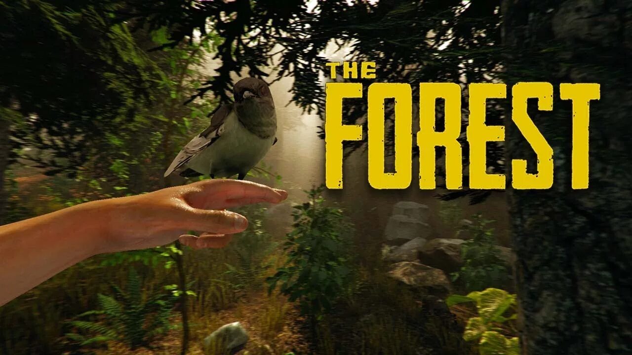 Forest server. Forest игра. форест кооператив. the forest кооп. the forest симуляторы выживания.