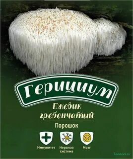 Ежевик гребенчатый бад