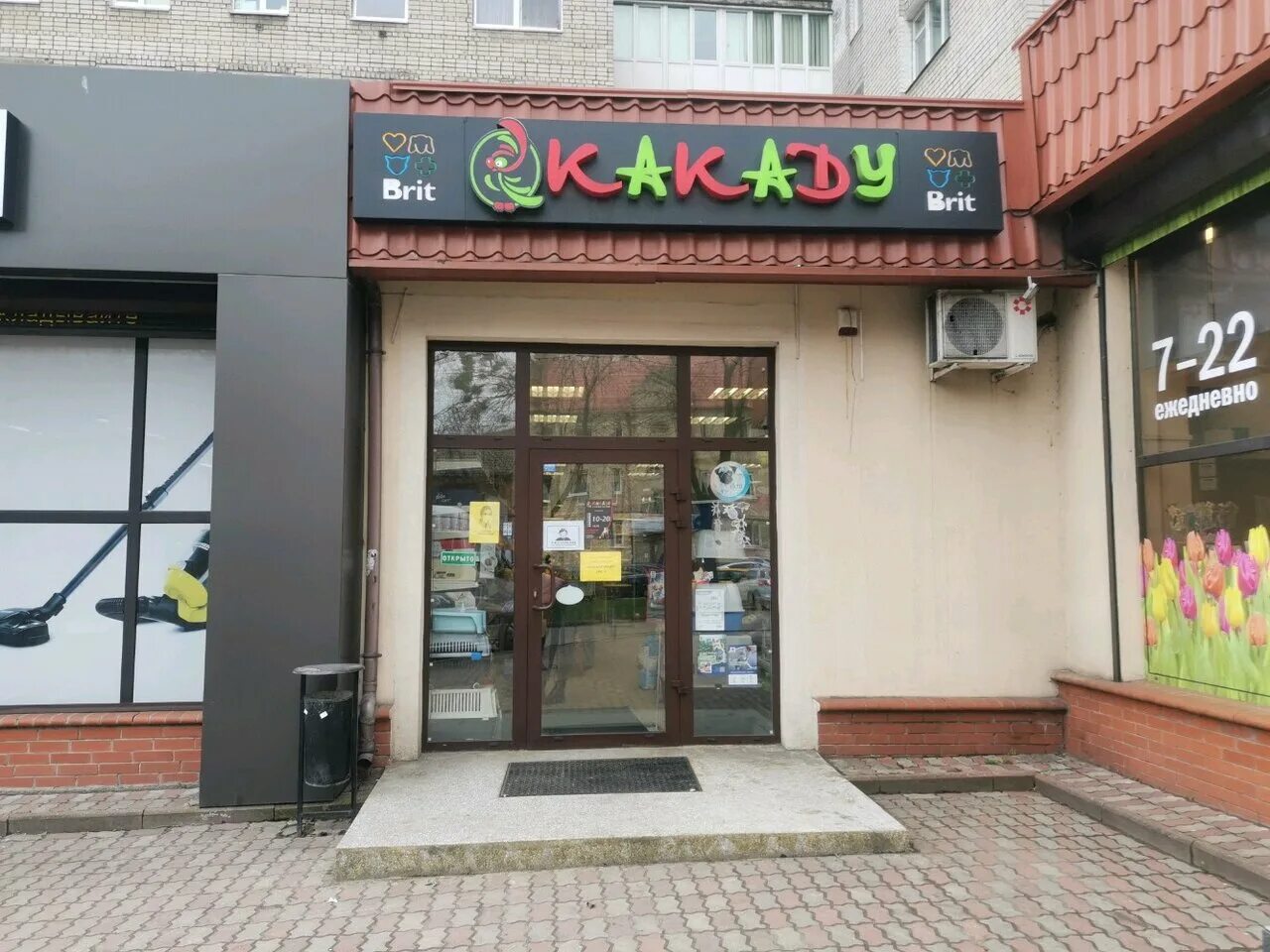 Ветклиника какаду могилев. Какаду зоомагазин. зоосалон какаду. какаду наро фоминск зоомагазин. московский проспект 161 калининград.