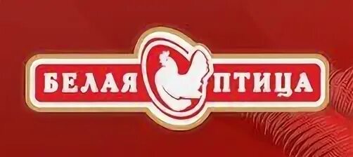 Издательство белая птица