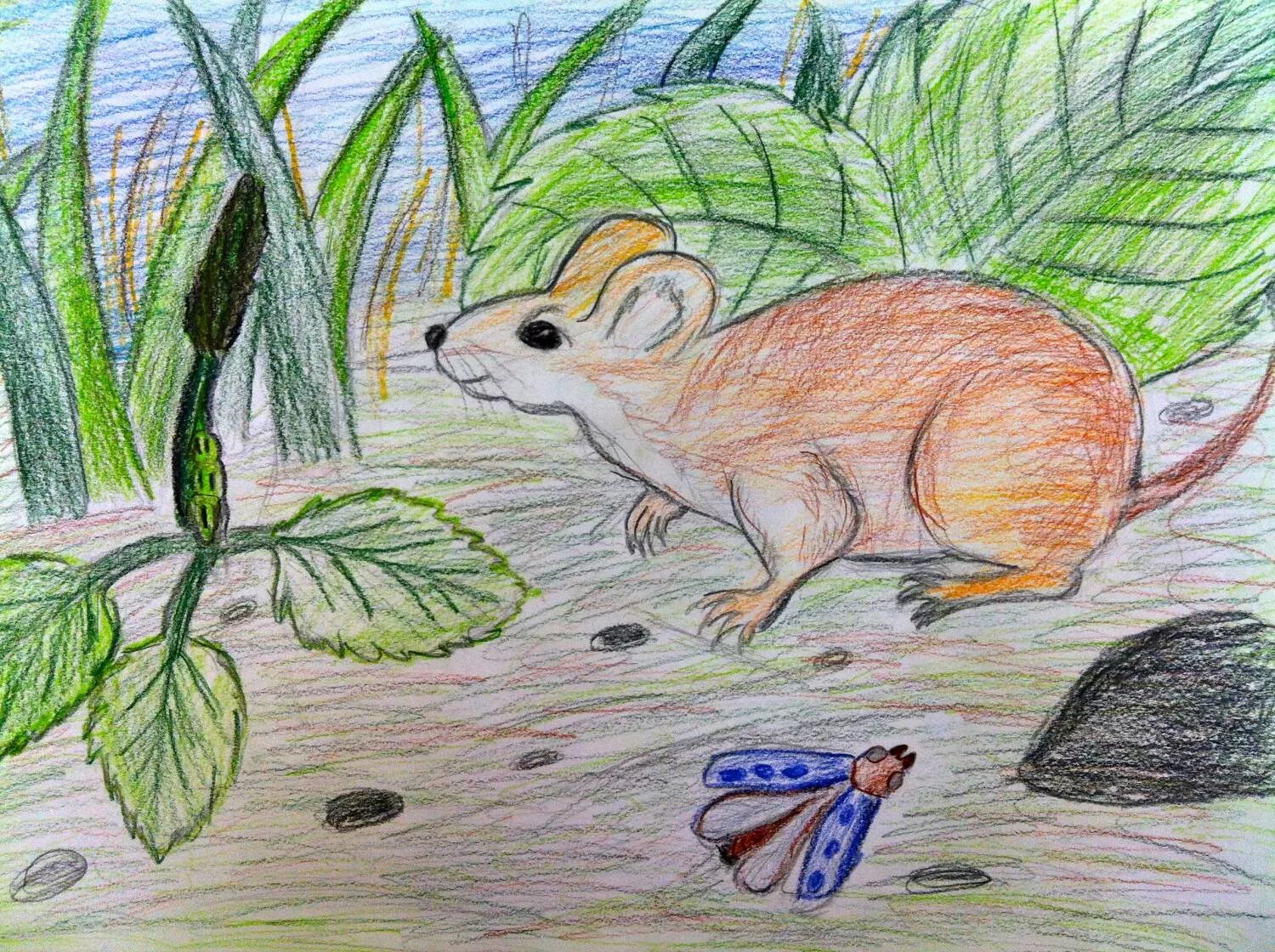 рассказ мышонок пик. произведение мышонок. рассказ про мышонка пика. сутеев в. произведение мышонок.