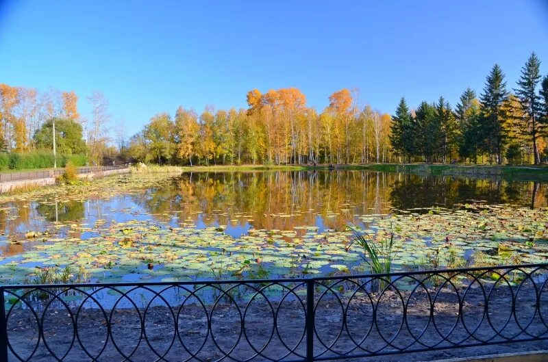 Ивановка Амурская область Ивановский район. Ивановский парк Амурская область. Парк село Ивановка Амурская область. Ивановка Ивановский район парк.