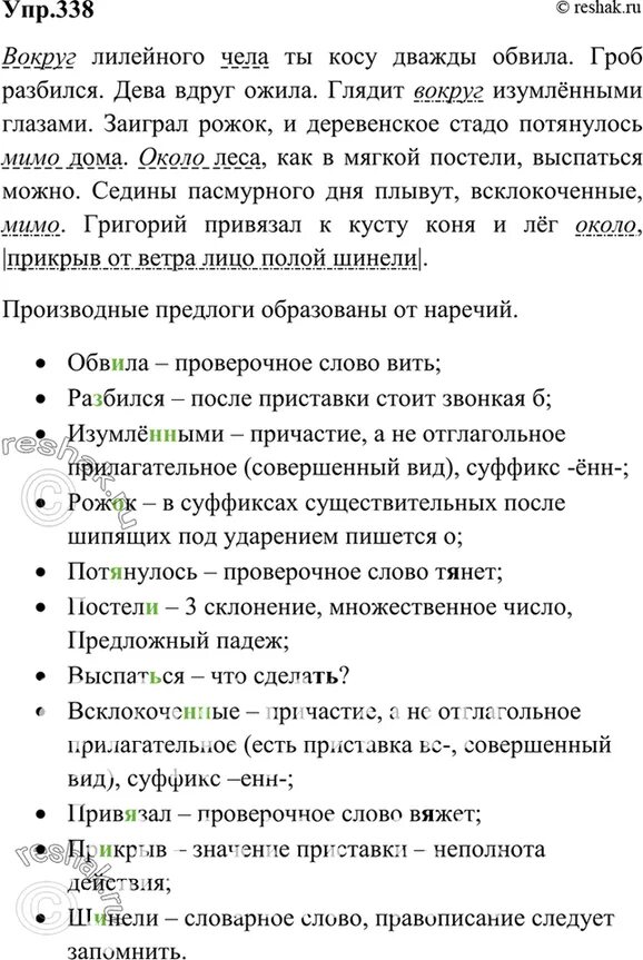 Русский язык 7 упр 338