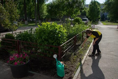 Конкурсы по благоустройству