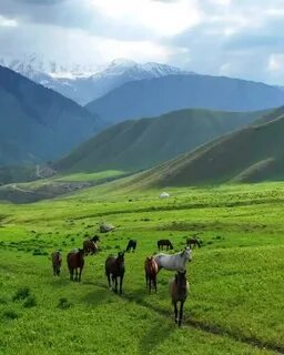 Ричард Гир порно