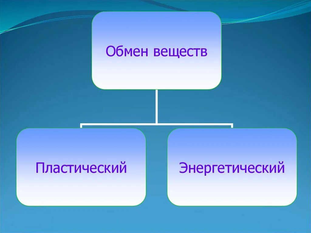 Пластический обмен веществ это процесс. Пластический обмен веществ. Обмен веществ пластический и энергетический. Обмен веществ пластический обмен энергетический обмен. Обмен веществ делится на.