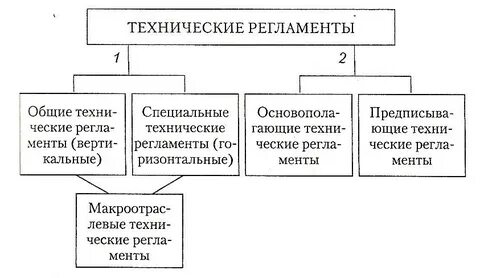 Регламент виды функции