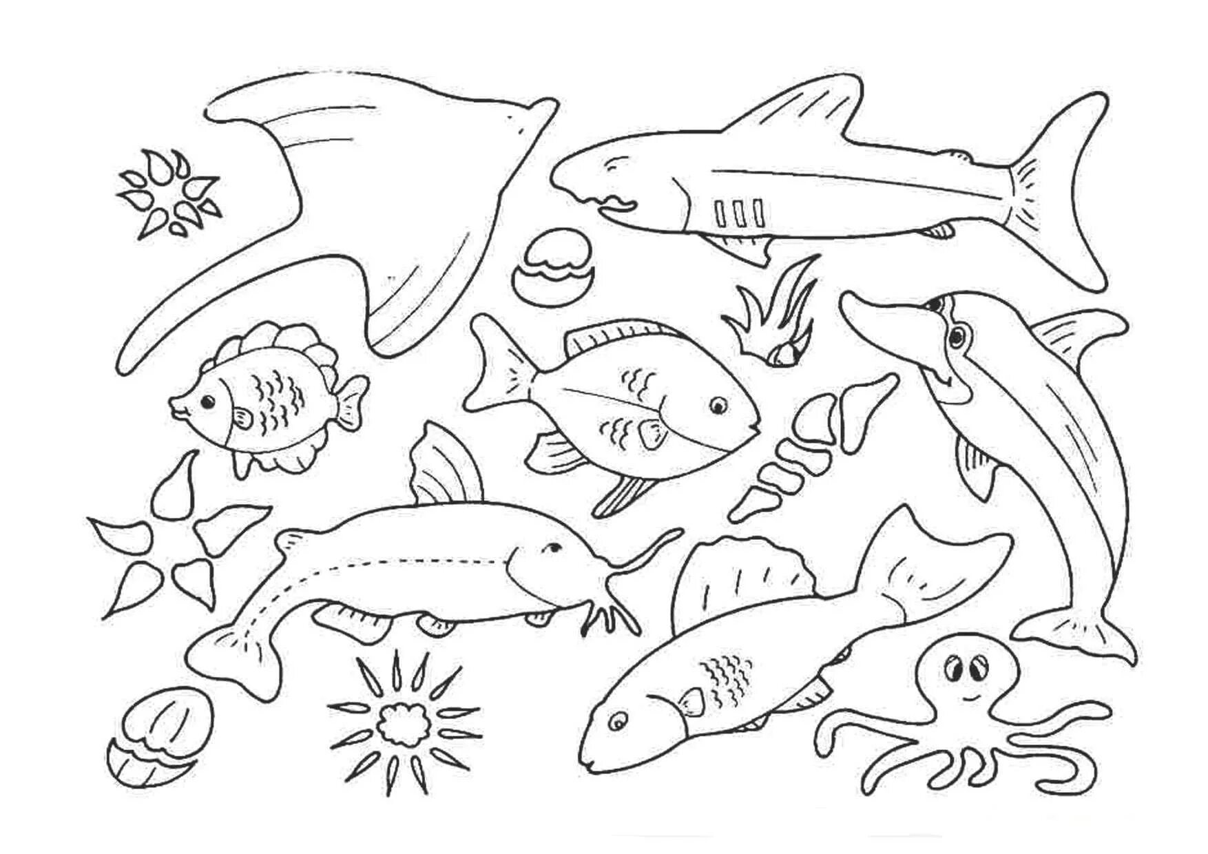 Раскраски обитатели морей. Рыбка картинка для детей раскраска. Раскраска морские обитатели. Раскраска "морские жители". Морские обитатели раскраска для детей.