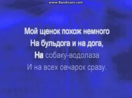 Песня мой щенок похож немного
