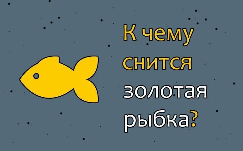 Сонник рыба для бывшего. К чему снятся золотые рыбки. Снится рыбка. Приснилась рыбка Золотая. Сонник Золотая рыбка.